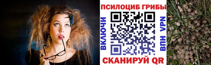Псилоцибиновые грибы прущие грибы  KRAKEN   Первоуральск 