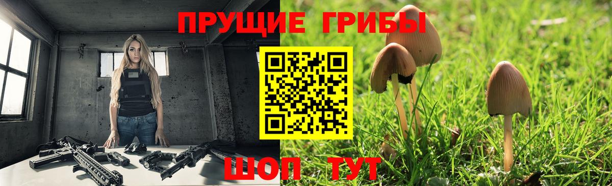 Псилоцибиновые грибы прущие грибы  Галлюциногенные грибы мицелий  Вход с VPN  Первоуральск 